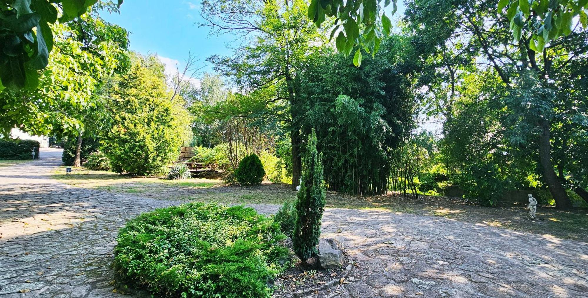 Levendula Resort Es Rendezvenykoezpont Bogács Εξωτερικό φωτογραφία